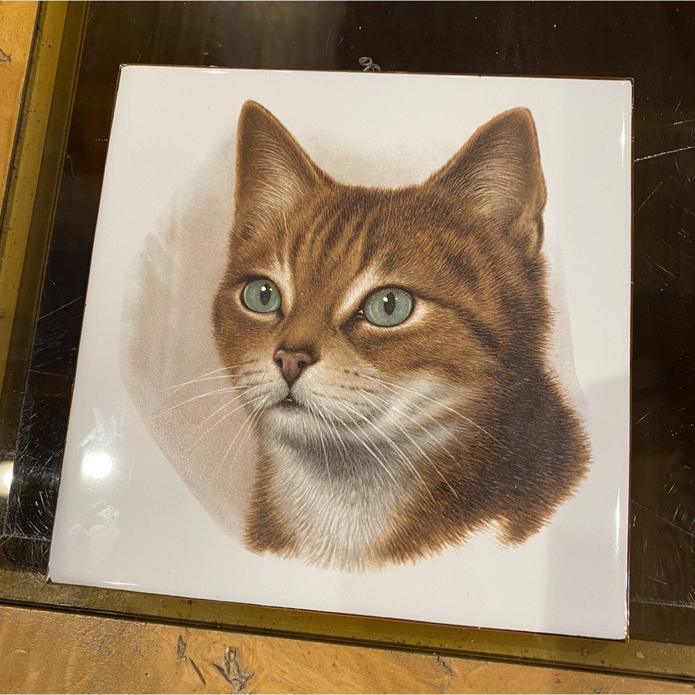 SCA Cat Decorative Ceramic Art Tile Made In Italy 6"X 6"
